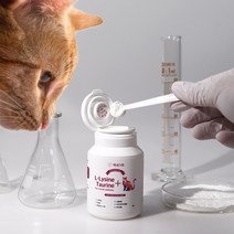 고양이 길고양이 구내염 락토페린 잇몸염증 영양제 치주염 감기 허피스 약 호흡기치료예방약