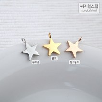 비즈아이 [8-003-04]써지컬스틸 팬던트(별) 8*11mm [1개], 무도금