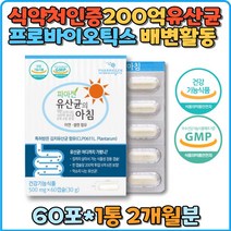 생유산균 200억 프로바이오틱스 식약처인증 식물성 온가족 아이 불가리쿠스 김치유산균 락티스 장용성 캡슐 가세리 람노서스 애시도필러스 신 프리 바이오틱스 올리고당 식이섬유 배변활동 원활 장건강 아연 셀렌