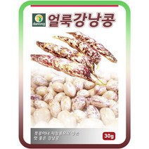 얼룩강낭콩씨앗(왜성) 30g 강낭콩씨 콩류 씨앗 종자 콩재배 콩심기