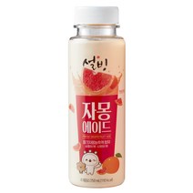 [서울에프엔비] 설빙 자몽에이드 250ml X 12개입