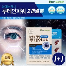 망막 영양제 눈이침침할때 눈이피곤할때 약국 20대 루테인 고르는법 유통기한 노화 황반색소밀도 눈 망막 영양제 비타민 A B2 B6 E 나이아신 아연 셀레늄 망간 30대 40대