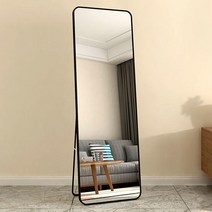원룸가구 철제 와이드 전신거울 450 거울 벽거울, 화이트