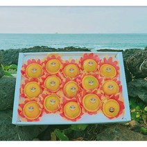 고당도 제주 하우스 감귤 황금향 3kg 밀감귤 제주도 선물 세트 추석 명절, 하우스 황금향, 가정용 4kg 중과(20과초반)