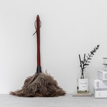 꾸미까 1+1 New 타조털 먼지털이개 먼지털이, 단품