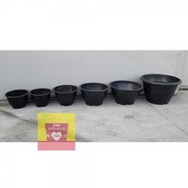 블루베리화분 베란다 텃밭 분갈이 꽃 국화 화분 600