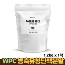 뉴트로웨이 WPC 농축유청 단백질 분말 근육단백질 필수 아미노산 맛있는단백질 초코맛, 1팩, 초코맛 1.2kg