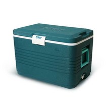 엔플라스틱 팬더 아이스박스, 그린, 58L