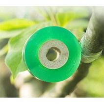 20mm 원예용 접목 테이프 농사 가드닝 정원관리 과수
