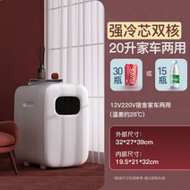 가정용 화장품 냉장고 저소음 미니 약 휴대용 캠핑용 사무실, [20L신상] 강냉심 듀얼코어 소백-카 겸용