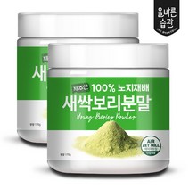 올바른습관 제주산 새싹보리 분말 1+1 보리싹 가루, 2개, 170g