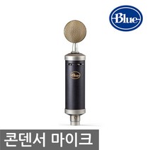 BLUE BabyBottle SL Blue Microphones 스튜디오마이크