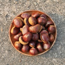 공주 햇밤 정안 알밤 칼집밤 옥광밤 대보밤 생률 생율 조생 에어프라이어, [칼집x] 옥광밤 2kg 특