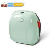오토바이용품 스쿠터 리어백 바이크가방 사이드백, 프레시그린+스탠드