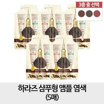 하라즈 샴푸형 앰플 염색 5개, 1개, 와인브라운