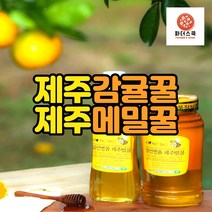 제주 천연벌꿀 100% 메밀꿀 감귤꿀 바퀴달린집꿀 메밀꽃꿀 농장 산지직송, 감귤꿀 1kg