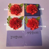 카네이션 용돈봉투 기프트콘 봉투종이꽃 봉투 현금봉투, 화이트, 빨강