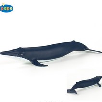 디오제이 모형완구 아기 흰긴수염고래 어린이학습교구 동물모형장난감