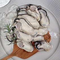 바다애 생굴 중굴모음 1키로소포장/햇생굴/최상품생굴/깐굴, 2kg