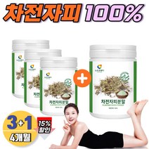 질경이씨 가루 차전자피100% 섬유질 수용성 식이섬유 보충 타먹는 인도산 자전자피 쉐이크 파우더