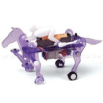 과학학습 승마로봇