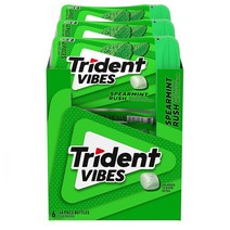 Trident 트라이던트 무설탕 스피어민트러시 40개입 6팩, 6개