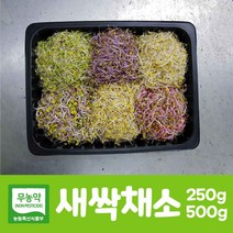 무농약 새싹채소 어린잎채소 모듬새싹 250g 500g 베이비채소 당일수확 산지직송, 03. 새싹채소 250g, 1개