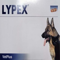 라이펙스(Lypex) 강아지 고양이 췌장염 췌장효소 보충제 60캡슐