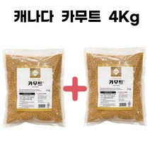 카무트 4Kg 캐나다산 카뮤트 코스트코 카무드 골드, 1개
