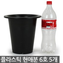 플라스틱 현애분 9호 블랙 5개 - 화분 베란다화분 꽃화분 대형화분 플라스틱화분 검정화분 블랙 화이트 흰색 파란화분, 01_한성_현애분 블랙(6호) X 5개
