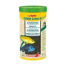 세라 213 시클리드 그린 XL 13oz 1000ml 펫푸드 원사이즈