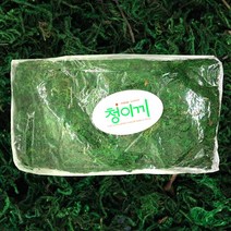 순둥이네화분 청이끼 대포장700g