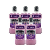 리스테린 토탈케어 플러스 구강청결제, 750ml, 5개
