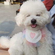 룰루멍 강아지 케이프 비숑 스카프 레이스 러브 빕 턱받이 도그빕 반다나 핑크 화이트