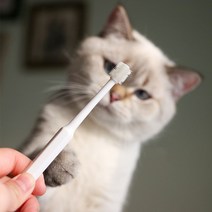 PET 강아지 고양이 칫솔 양치 입냄새 치석제거 360도 강아지고양이원형칫솔, 20개