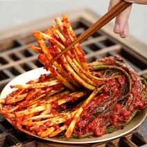 셰프애찬 매콤달콤 파김치 쪽파김치 정성가득 셰프김치, 3kg, 1개, 3kg