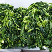 절임갓 10kg 해풍갓 돌산 도착날짜가 필요시 메모란에 기입 산지직송, 1팩