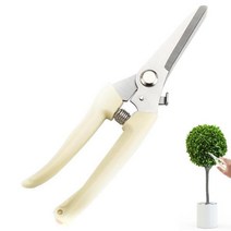 접목 전정 가위 정원 과일 나무 가지 치기, 01 straight pruning