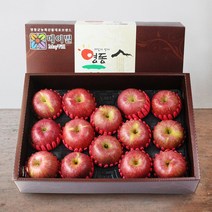 [산지직송] 영동 사과 선물세트 5kg(14-16과)