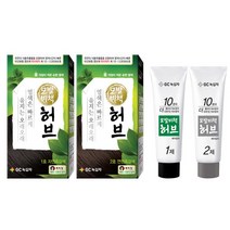 녹십자 모발비책 허브 천연염색약 2개/빠른허브/창포엔/옻안타는 염색, 2개, 1호 자연흑갈색