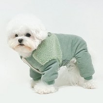 펫츠랜드 반려동물 로이 패딩 올인원, 민트