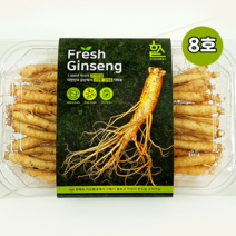 고려인삼 금산 수삼 세척 삼계탕인삼 인삼꿀절임 6년근 양삼 뿌리 8호