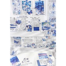 더이쁜 PaperMore PET 블루프렌즈 롱테이프 다꾸 4종 롱스티커 다꾸, 아이리스 산책
