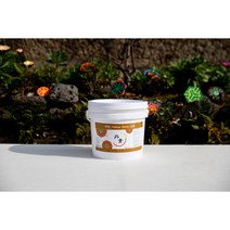토황 1kg(북촌 단청 무기세라믹안료)