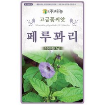 스위트바실 3g - 허브 허브씨 허브씨앗 씨 씨앗 바실 바질 스위트바질 바실씨앗 바질씨앗 꽃씨 꽃씨앗 Sweet Basil, 20_다농_페루꽈리(1g)