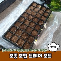 모종 모판 트레이 포트 32구, 단품