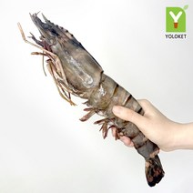 욜로켓 킹 블랙타이거 왕새우 1마리 골라담기, [Y32] 킹타이거230-289g 1마리