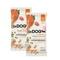 닥터독 3개월 이상 연어 피부모질 닥터독 사료, 250g, 2개