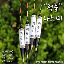 제우스레져 적중 나노찌 나노대물찌, 1호