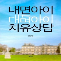 내면아이 치유상담, 상품명